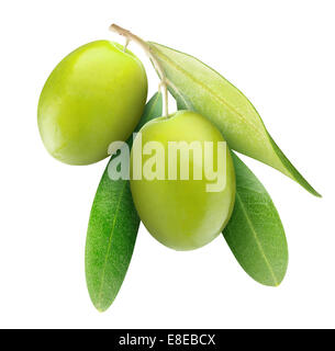 Due olive verdi sul ramo con foglie isolato su bianco Foto Stock