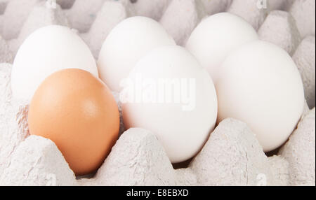 Cinque bianco e una marrone uova sul vassoio in prospettiva Foto Stock