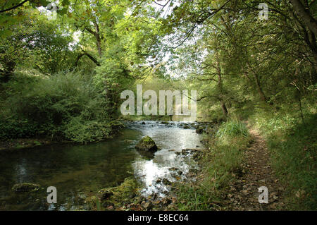 Fiume Wye in Miller Dale, Derbyshire, Peak District Foto Stock