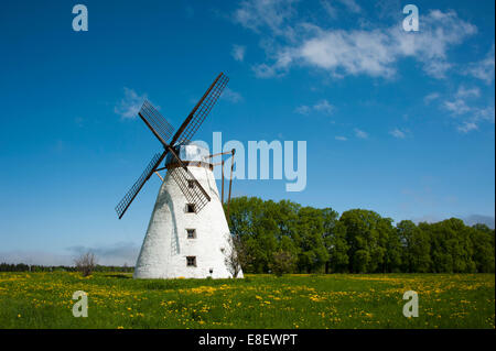Il mulino a vento, Vihula, Lahemaa National Park, Estonia, Stati Baltici Foto Stock