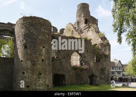 Swansea Castle, Galles del Sud, 2010. Foto Stock