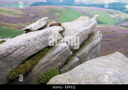 Gritstone formazioni rocciose su Kinder Scout, Peak District, Derbyshire, in Inghilterra. Foto Stock