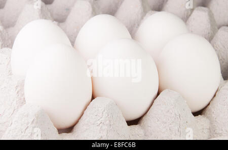 Sei uova di colore bianco sul vassoio in prospettiva Foto Stock