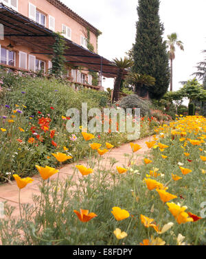 Giardino di grande rosa villa francese con orange Papavero californiano nel confine accanto al sentiero lastricato Foto Stock