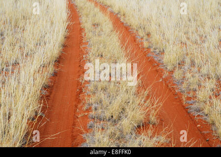 Piste di gomma tra arbusti e sabbia arancione nel deserto, parco nazionale Namib-Naukluft, Namibia Foto Stock