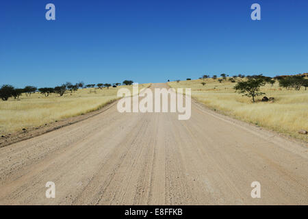 Svuotare la strada attraverso il deserto, Namibia Foto Stock