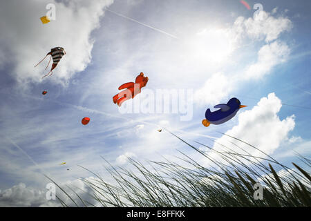 Basso angolo di visione degli aquiloni volare al kite festival, Fanoe, Danimarca Foto Stock