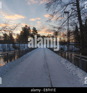 Vista del ponte coperto di neve Foto Stock