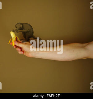 Scimmia concettuale sul braccio di un uomo che mangia una banana Foto Stock