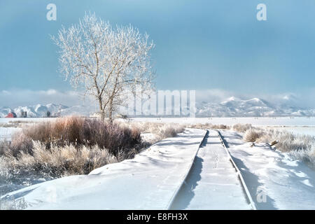 Stati Uniti d'America, Colorado, Snowy i binari della ferrovia che conduce verso Foto Stock