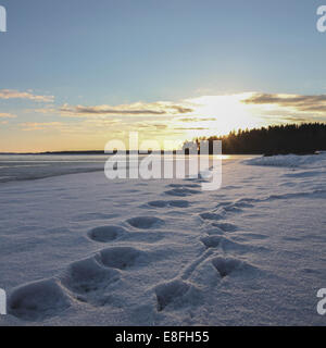 Impronte sulla neve Foto Stock