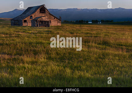 Stati Uniti d'America, Idaho, Valley County, Cascata, vecchio fienile al tramonto Foto Stock