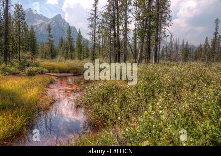 Stati Uniti d'America, Idaho, Custer County, Stanley, Stream che conduce al vicino lago di montagna a dente di sega Foto Stock