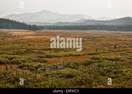 Stati Uniti d'America, Idaho, Custer County, Stanley, Smokey Mountains nel nebbioso giorno Foto Stock