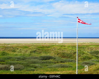 Spiaggia con bandiera danese, Fanoe, Jutland, Danimarca Foto Stock