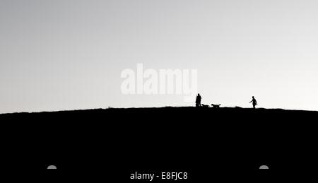 Padre, la figlia e il figlio a piedi con i cani sulla collina Foto Stock