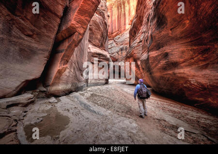 Stati Uniti d'America, Utah, Paria Canyon-Vermilion Cliffs Wilderness, persona escursionismo in Gulch daino Foto Stock