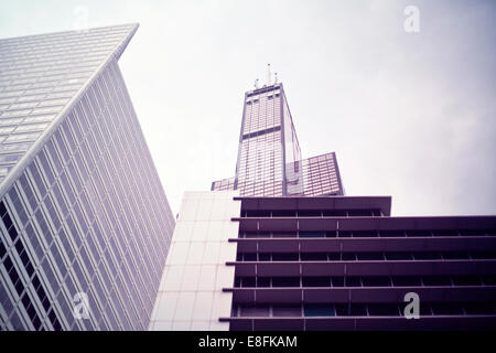 Stati Uniti d'America, Illinois, Contea di Cook, Chicago, Willis Tower a Chicago Foto Stock