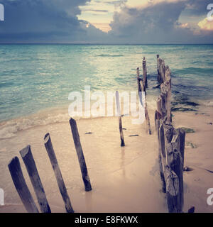 Messico, vista del palo di legno sulla spiaggia Foto Stock