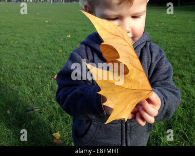 Ragazzo che sta nel parco tenendo un grandi foglie di autunno Foto Stock