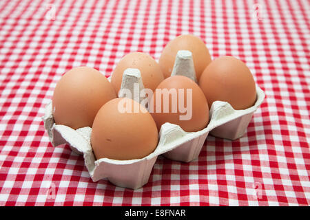 Primo piano di sei uova in una scatola di uova su una tovaglia controllata Foto Stock