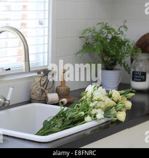 Mazzo di fiori nel lavello da cucina Foto Stock