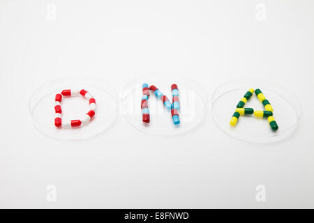 Word DNA composto da pillole assortite in tre capsule di Petri Foto Stock