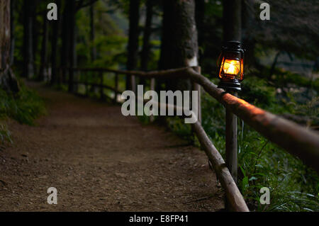 Olio accesa la lampada sul recinto lungo il percorso del bosco Foto Stock