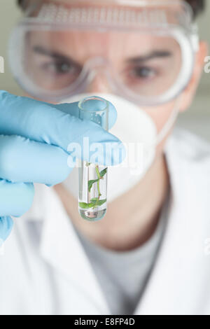 Scienziato guardando impianto campione nella provetta Foto Stock