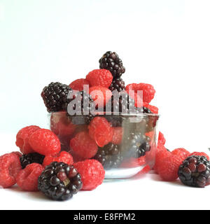 Ciotola di vetro di lamponi e more Foto Stock