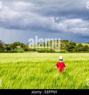 Vista posteriore del ragazzo a piedi attraverso il campo Foto Stock