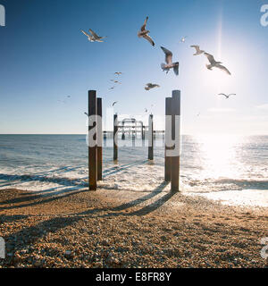 Brighton West Pier, East Sussex, Inghilterra, Regno Unito Foto Stock