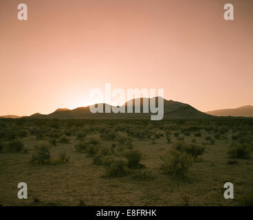 Stati Uniti, California, Tramonto nel deserto di Mojave Foto Stock