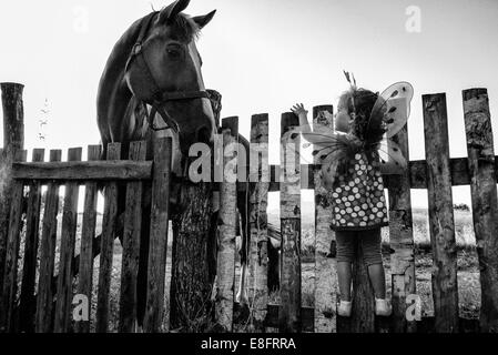 Ragazza vestita come fata in piedi su una recinzione guardando un cavallo Foto Stock