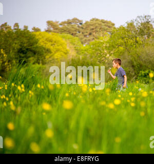 Ragazzo in campo di soffiaggio testa di dente di leone Foto Stock