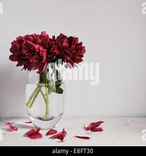 Vaso di fiori con petali di caduta off Foto Stock