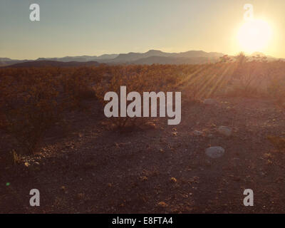 Tramonto nel deserto Foto Stock