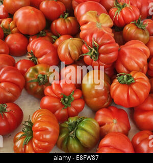 L'Italia, Toscana, pomodori sul mercato Foto Stock