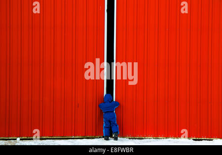 Ragazzo che guarda attraverso il gap in una porta fienile, Stati Uniti Foto Stock