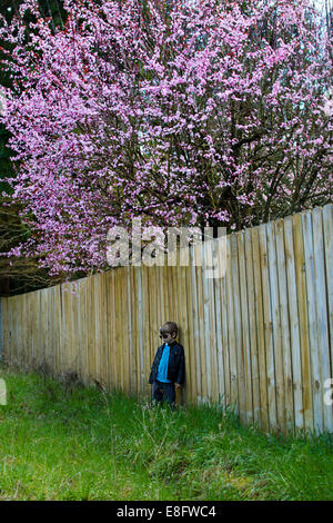 Ragazzo (4-5) appoggiata sulla recinzione in giardino Foto Stock