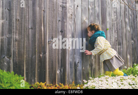 Ragazza che guarda attraverso un buco in una recinzione di legno, Stati Uniti Foto Stock