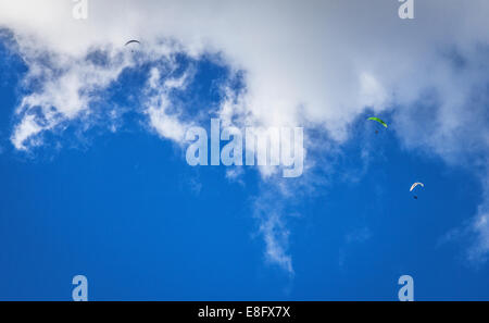 Tre i parapendii nel cielo blu Foto Stock