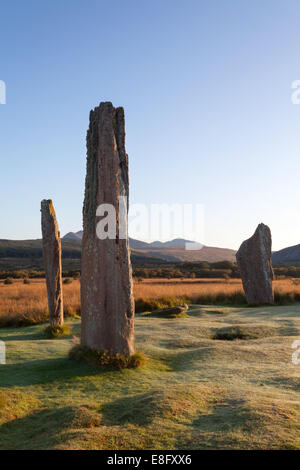 Machrie Moor pietre permanente all'alba Isle of Arran, Scozia Foto Stock