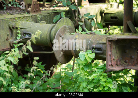 Ferro vecchio arrugginito treno buffer con piante verdi ricoperta Foto Stock