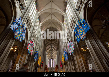 La Francia. Orleans Cattedrale. Settembre 2014 Orléans Cattedrale (Basilique Cathédrale Sainte-Croix d'Orléans) è un cattolico gotica Foto Stock