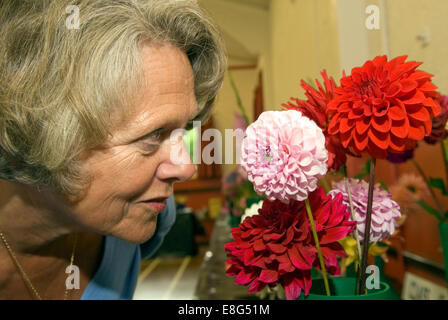 Donna anziana che stanno curiosando il Dahlia's sul display a flower show, quattro marchi, vicino a Alton, HAMPSHIRE, Regno Unito. Foto Stock