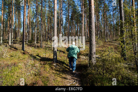 Anziana anziana anziana nordic walking nella foresta di taiga , Finlandia Foto Stock