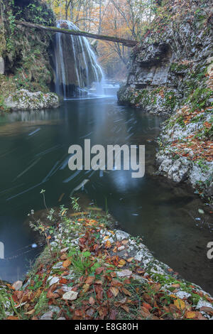 Bigar cascata cade nella Nera Beusnita Gorges National Park, Romania Foto Stock