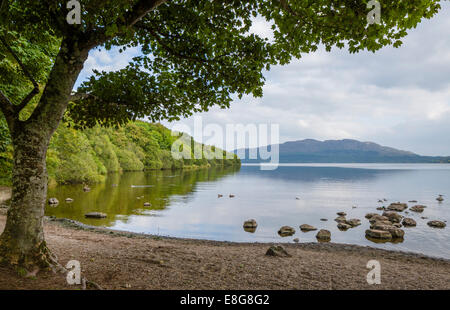 Lough Gill da Hazlewood Forest Recreation Area in prima serata, Sligo, nella contea di Sligo, Repubblica di Irlanda Foto Stock