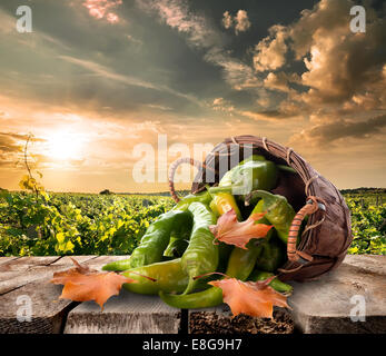 Pepe in un cestino sul tavolo e il paesaggio Foto Stock